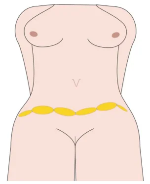 Illustration anatomique ou technique extraite de la thèse