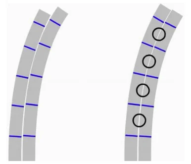 Illustration anatomique ou technique extraite de la thèse
