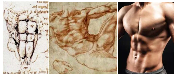 Illustration anatomique ou technique extraite de la thèse