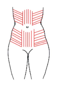 Illustration anatomique ou technique extraite de la thèse
