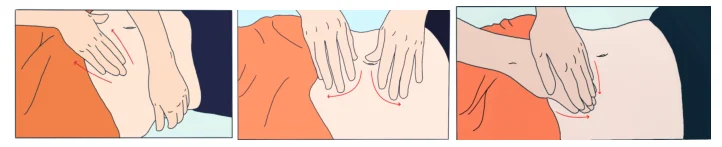 Illustration anatomique ou technique extraite de la thèse